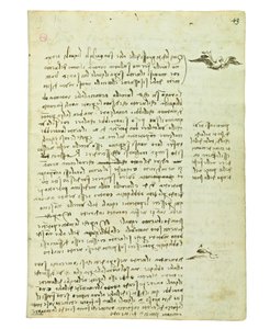 Códice sobre el vuelo de los pájaros, Folio 13 recto